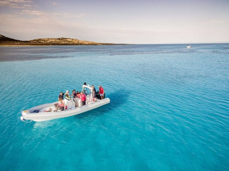 From Stintino: Half-day dinghy tour in Asinara Gulf - Exploring the Itinerary: What Youll Experience