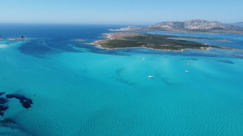 From Stintino: Half-day dinghy tour in Asinara Gulf - FAQ on the Stintino Dinghy Tour