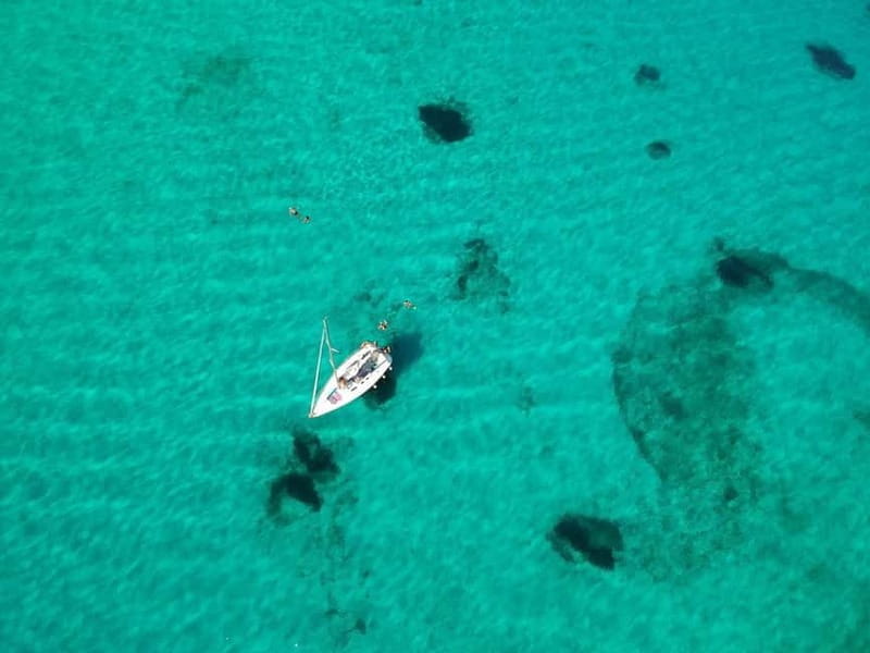 From Stintino: Half-Day Sailing Boat Tour to Asinara - Key Points / Takeaways