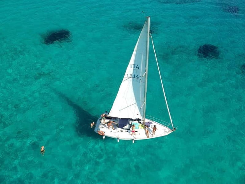 From Stintino: Half-Day Sailing Boat Tour to Asinara - Discover Sardinia’s Hidden Waters: A Detailed Review