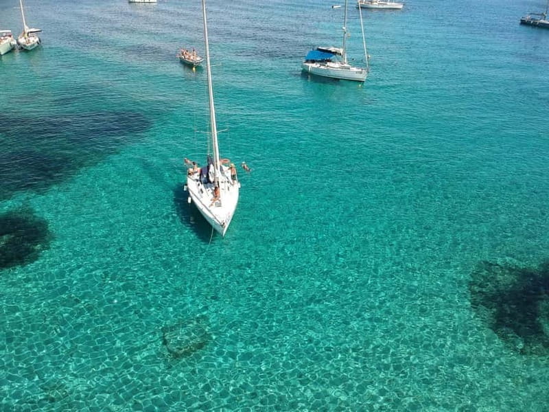 From Stintino: Half-Day Sailing Boat Tour to Asinara - Frequently Asked Questions