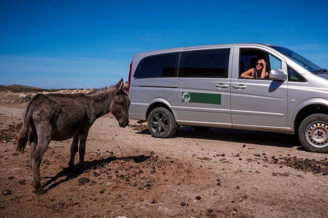 From Stintino: minivan tour of Asinara - The Full Scoop on the Stintino to Asinara Minivan Tour