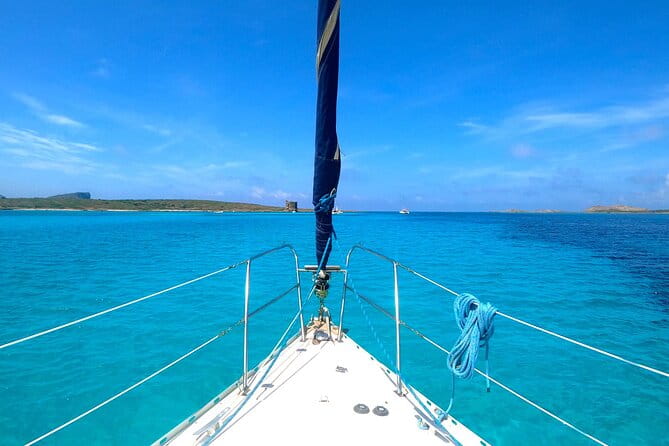 From Stintino: sailboat tour to Asinara - The Sum Up