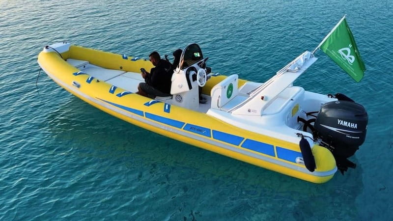 From Stintino: two-hour dinghy tour at sunrise or sunset - Who Should Consider This Tour?