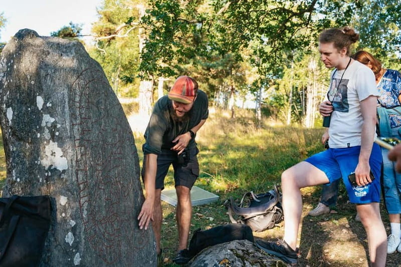 From Stockholm: Moose & Wildlife Safari with Campfire Dinner - The Hotspots: Maximizing Wildlife Encounters