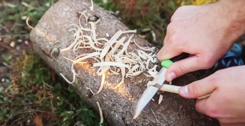 From Stockholm: Moose & Wildlife Safari with Campfire Dinner - Price and Value Consideration