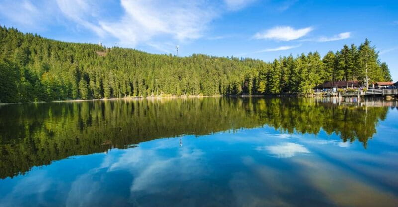 From Strasbourg: Black Forest and Baden Baden Day Trip - Exploring the Black Forest and Baden Baden: A Complete Review of the Day Trip from Strasbourg