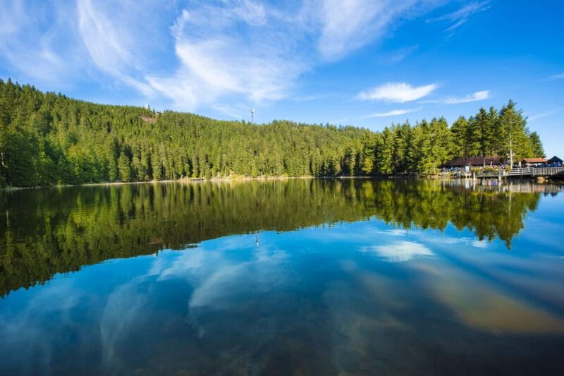 From Strasbourg: Black Forest and Baden Baden Day Trip - Key Points and Takeaways