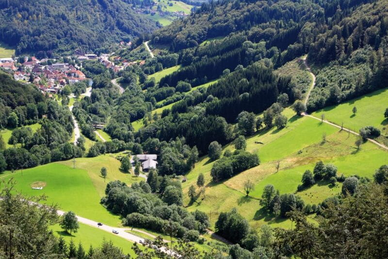 From Strasbourg: Black Forest and Baden Baden Day Trip - FAQs