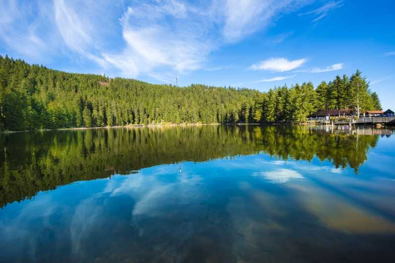 From Strasbourg: Black Forest and Baden Baden Day Trip - Final Thoughts