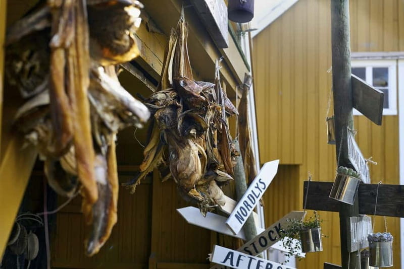 From Svolvær: Explore Nusfjord & Henningsvær, in 1 day - Exploring Lofoten’s Hidden Gems in a Day: Nusfjord and Henningsvær