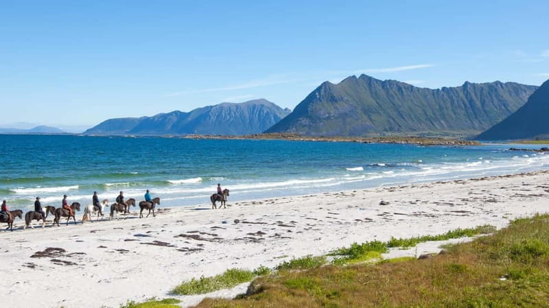 From Svolvær: Henningsvær Lofoten East Island Full Day Tour - Price and Practical Considerations