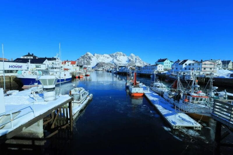 From Svolvær: Lofoten Day Tour in Chinese - Key Points / Takeaways