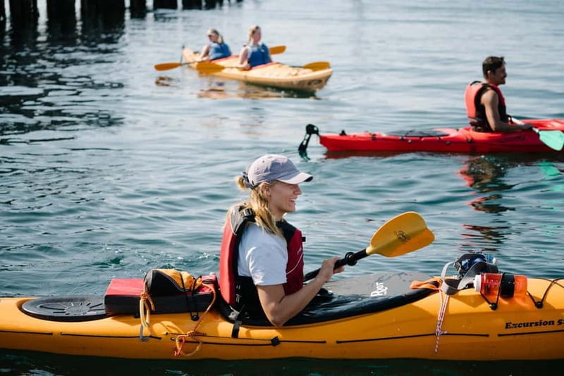 From Svolvær: Lofoten Guided Kayak Experience - The Itinerary in Detail