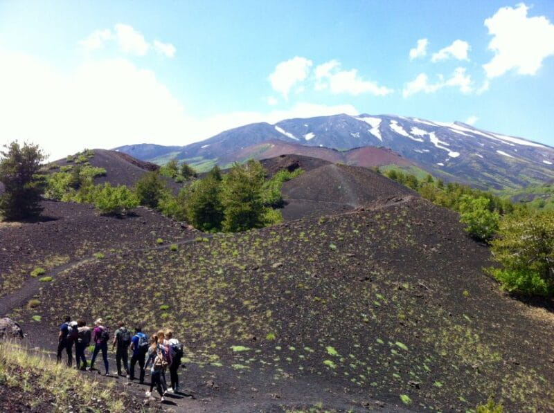 From Syracuse: Etna Tour with Light Lunch and Wine Tasting - Key points / Takeaways