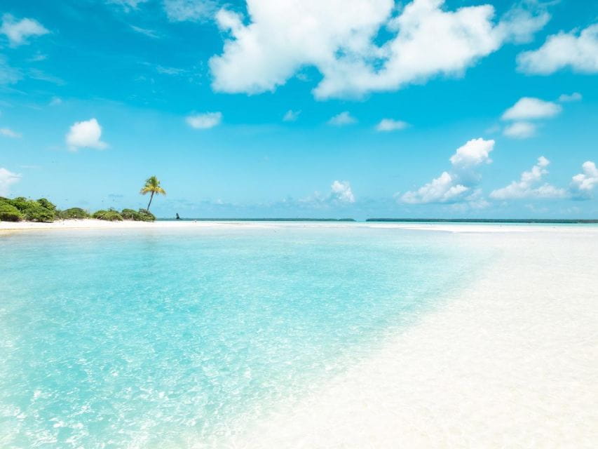 From Tahiti: Tetiaroa Island Tour by Sailing Catamaran - Return Journey With Refreshments