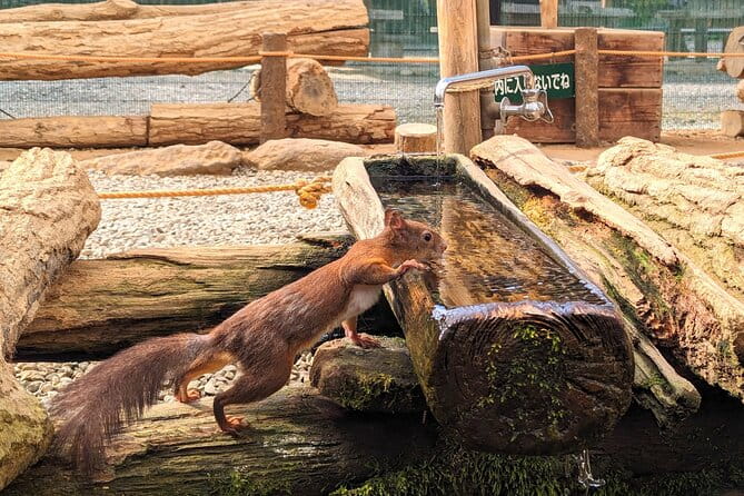 From Takayama: Cultural Heritage & Kamikochis Alpine Beauty - Transportation Details