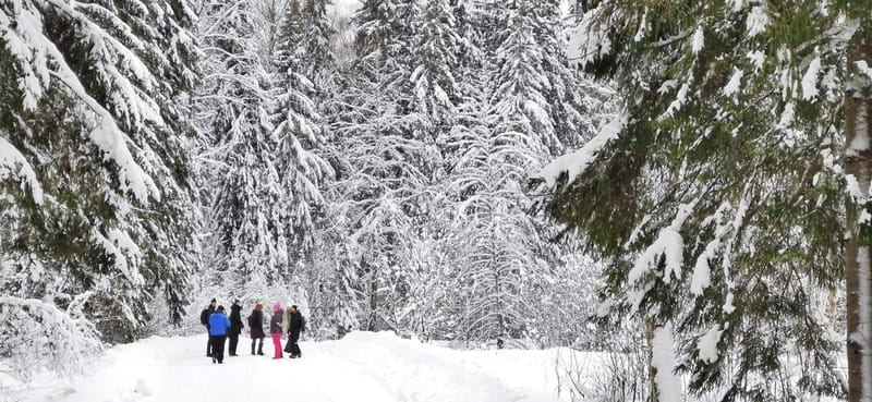 From Tallinn: Lahemaa National Park 3 Waterfall Hike - Key points / Takeaways