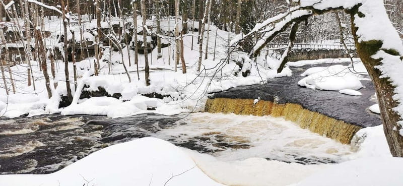 From Tallinn: Lahemaa National Park 3 Waterfall Hike - Exploring Estonia’s Wilderness: A Deep Dive into the Lahemaa Waterfall Hike