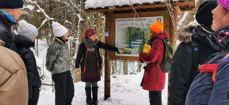 From Tallinn: Lahemaa National Park 3 Waterfall Hike - Price and Logistics: Good Value for Nature Lovers