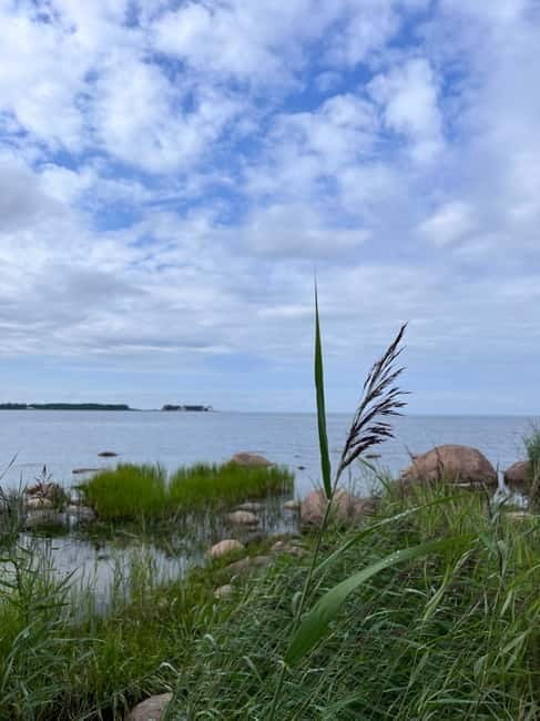 From Tallinn: Lahemaa National Park Day Trip - An Introduction to What You’ll Experience