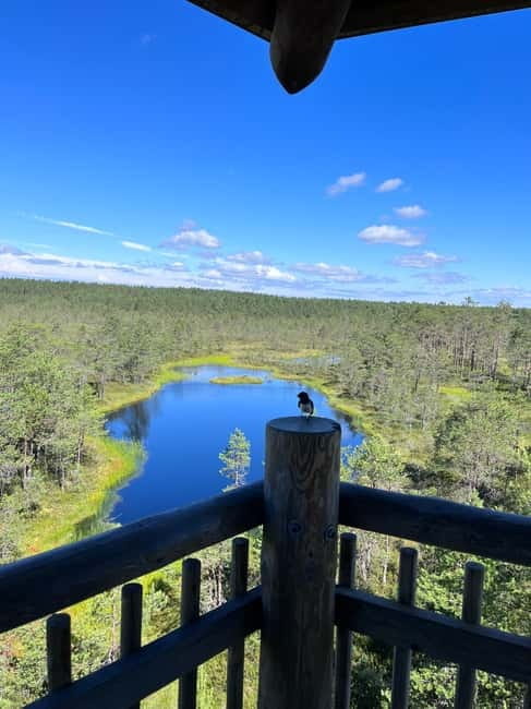 From Tallinn: Lahemaa National Park Day Trip - Vihula Manor or the Beaver Trail — Nature or Relaxation