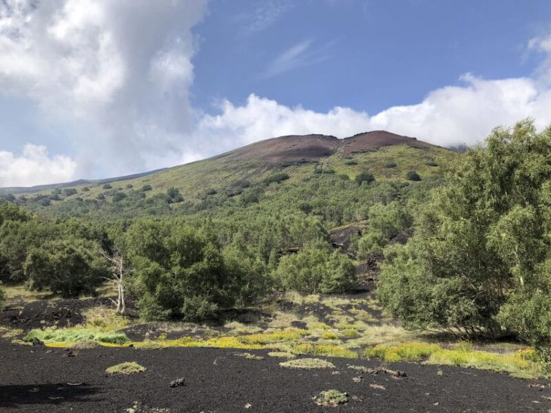 From Taormina: Full-Day Etna, Wine & Alcantara Canyons Tour - Logistics, Duration, and Value