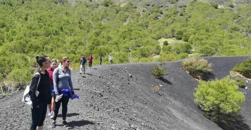 From Taormina: Half-Day Mount Etna Morning Trek - Who Should Book This Experience?