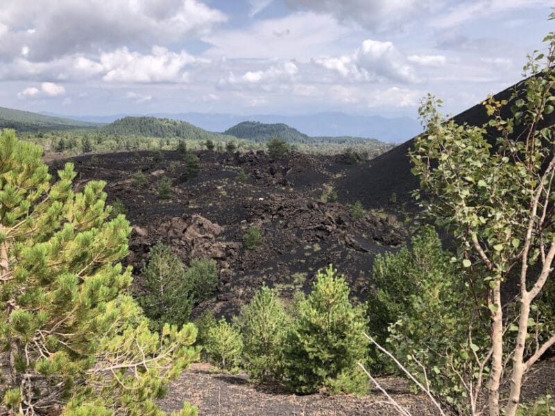From Taormina: Half-Day Mount Etna Morning Trek - FAQ