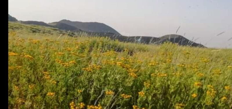 From Taormina, Naxos, & Letojanni: Mount Etna Half-Day Trip - Entering the Volcano’s Realm: What the Tour Includes