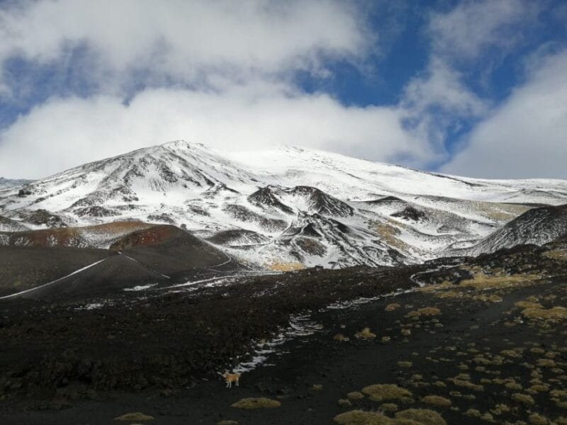 From Taormina or Catania: Private Full-Day Mount Etna Hike - Who Should Consider This Tour?