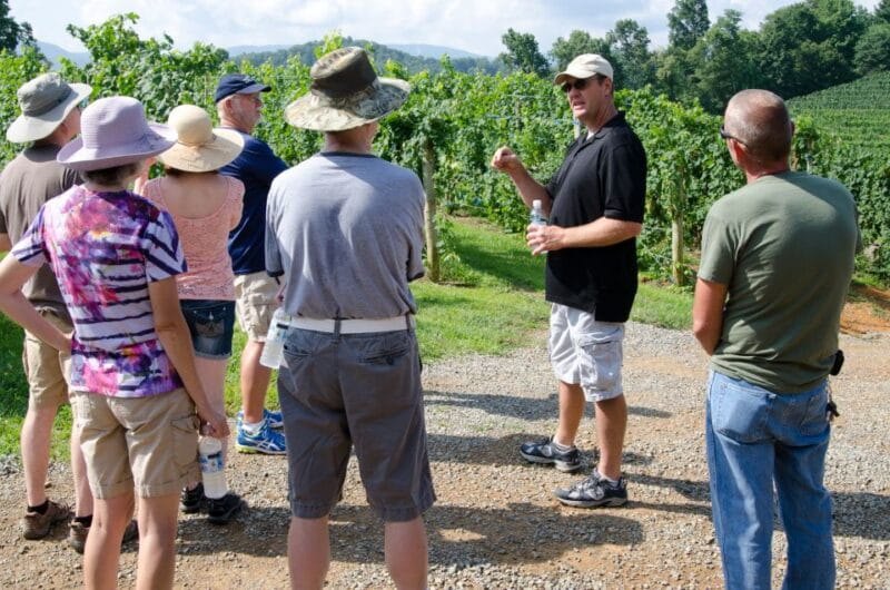 From Taormina: Private 3 Etna Wineries with Food & Wine - Exploring the Itinerary: What Makes Each Stop Special