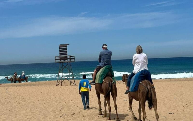 From Tarifa: 2 days 1 night To Chefchaouen all inclusive - Key Points / Takeaways