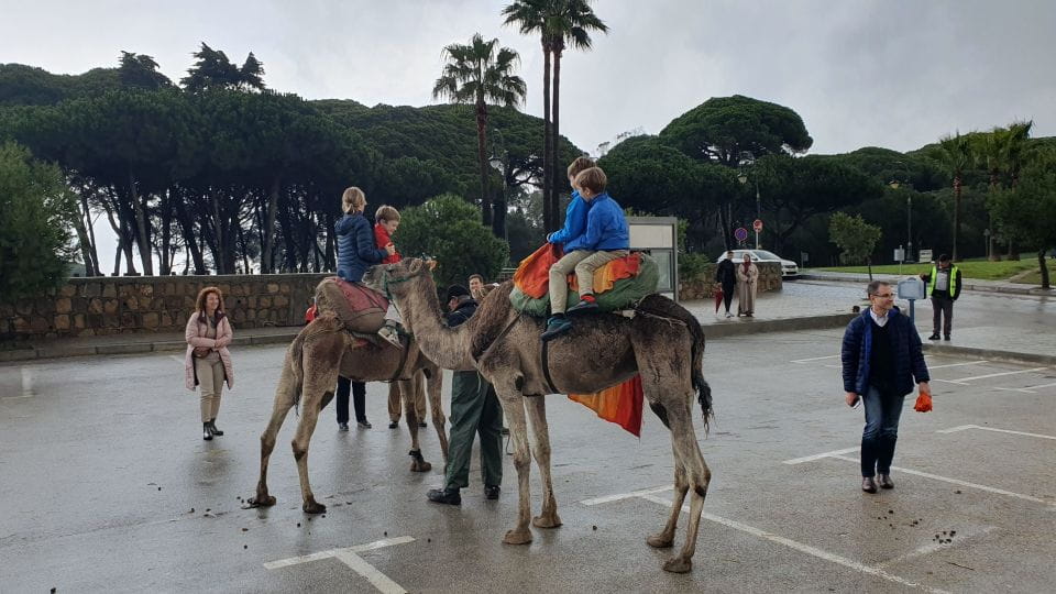From Tarifa: Tangier Day Tour With Bazaar Shopping and Lunch - Things To Know