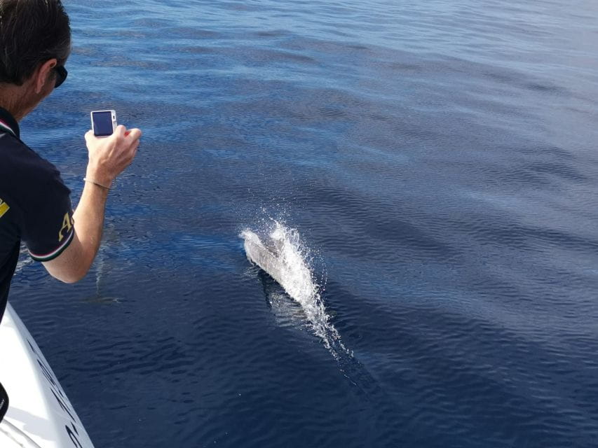 From Tazacorte: Fast Yacht Tour of La Palma - Tour Overview