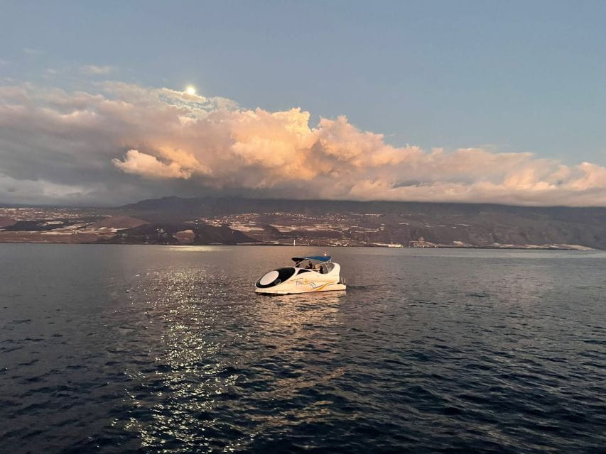 From Tazacorte: Fast Yacht Tour of La Palma - Participant Restrictions