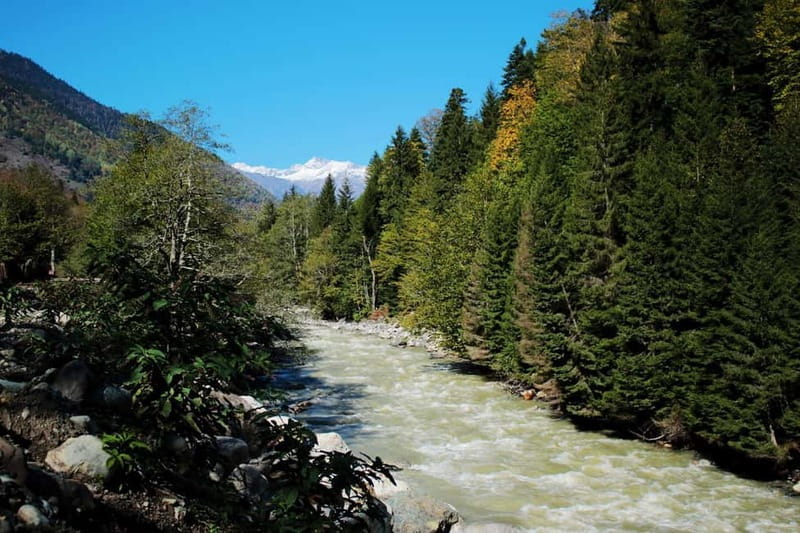 From Tbilisi: Ambrolauri Full-Day Guided Tour with Lunch - The Natural Beauty of the Rioni River Gorge