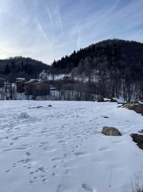 From Tbilisi: Bakuriani and Borjomi Day Trip - Borjomi: Mineral Springs and Park Serenity