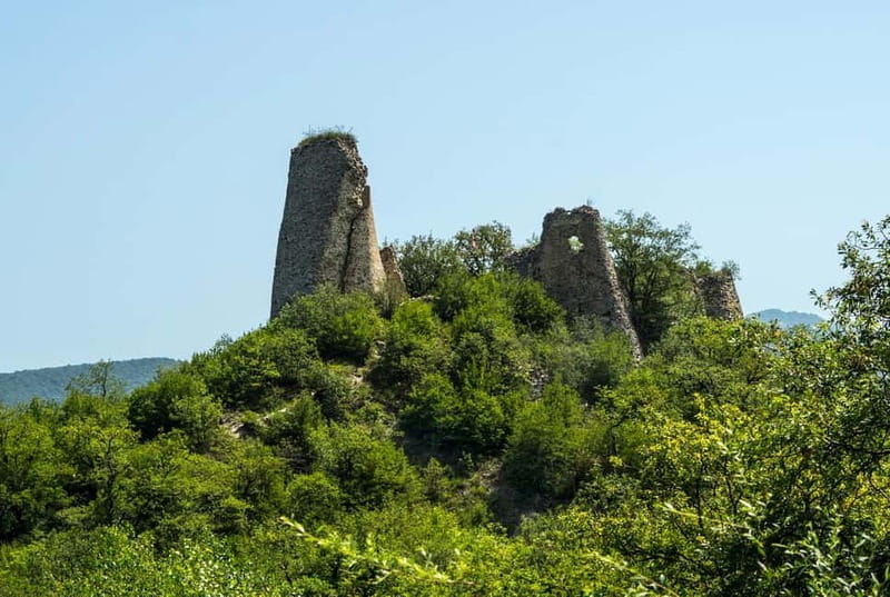 From Tbilisi: Bodbe, Sighnaghi & Kakheti Guided Day Trip - The Giant Plane Tree: Nature’s Marvel