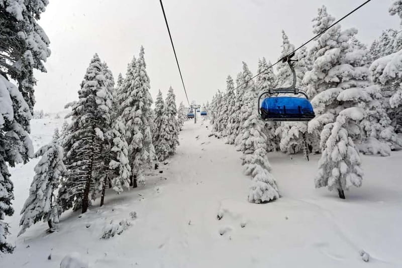 From Tbilisi: Borjomi and Bakuriani Ski Resort Private Tour - An In-Depth Look at the Borjomi and Bakuriani Private Tour