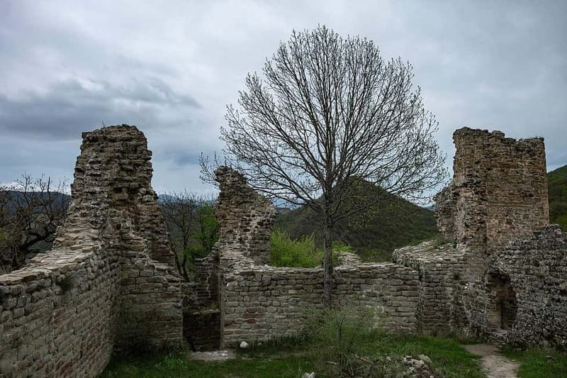 From Tbilisi: Kakheti, Bodbe, Sighnaghi, & Telavi Tour - Scenic Stops: Gombori Pass & Ujarma Fortress
