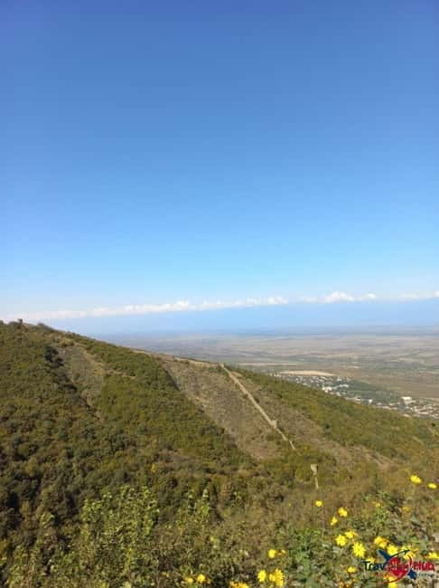 From Tbilisi: Kakheti Day Trip with Wine Tasting - Key points / Takeaways