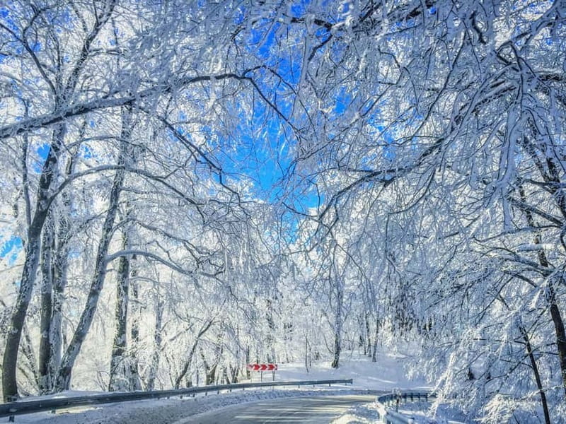 From Tbilisi: Private Sabaduri, Ananuri, & Gudauri Day Trip - A Complete Guide to the Tbilisi Private Mountain Adventure