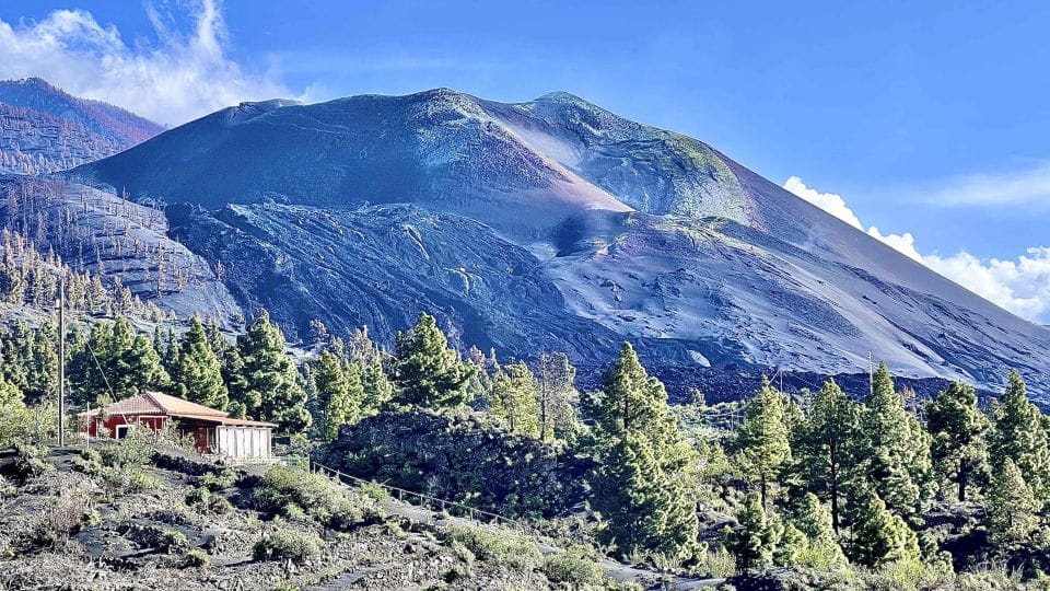 From Tenerife: Day Trip to La Palma Volcanic Landscapes - Things To Know