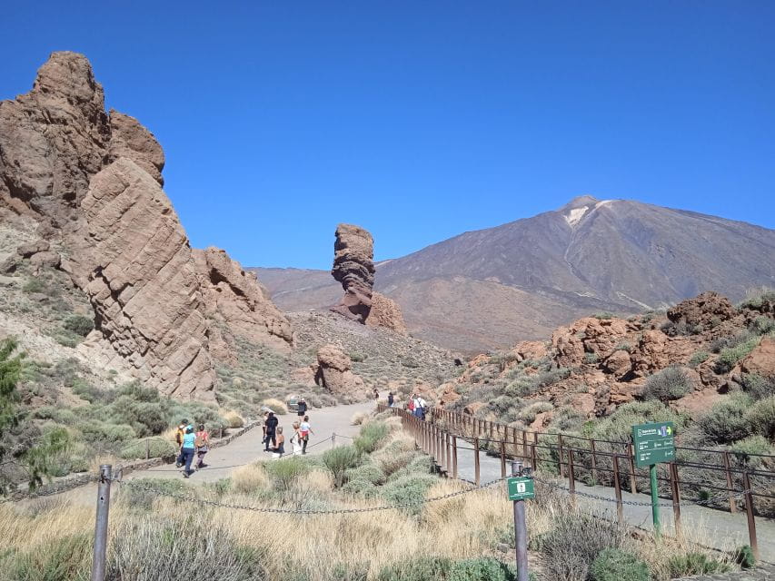 From Tenerife: Teide National Park Guided Day Trip by Bus - Trip Overview and Details