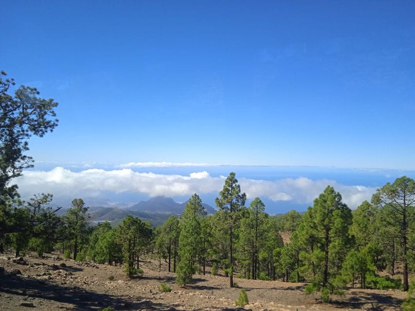 From Tenerife: Teide National Park Guided Day Trip by Bus - Transportation and Accessibility