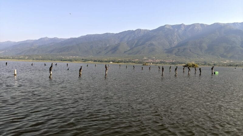 From Thessaloniki: Lake Kerkini, Boat Ride & Winery Day Tour - Entering the Natural Wonder: Lake Kerkini