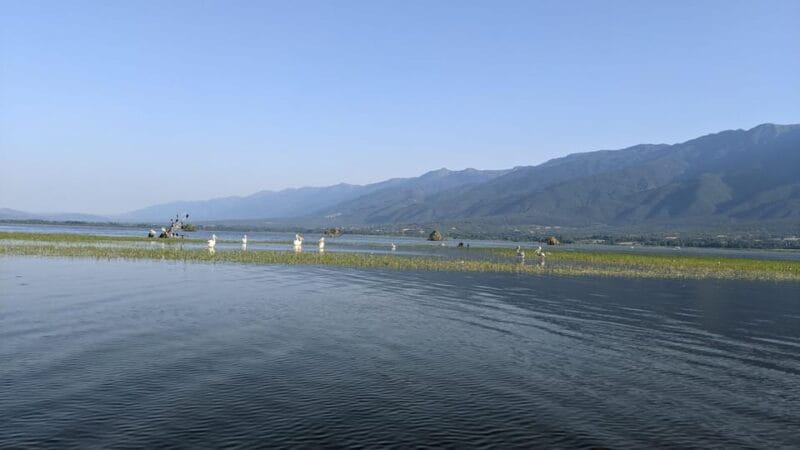 From Thessaloniki: Lake Kerkini, Boat Ride & Winery Day Tour - Exploring the Serres Wine Region