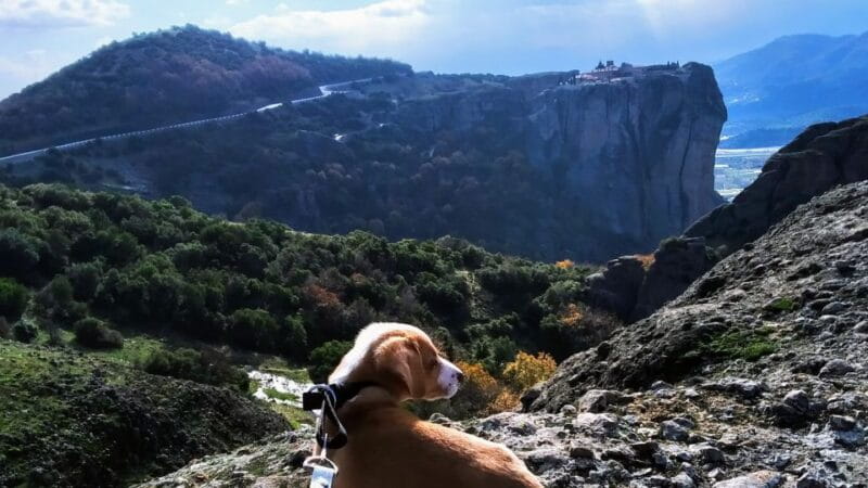 From Thessaloniki: Meteora Small Group Day Trip - Practical Considerations: Timing, Comfort, and Cost