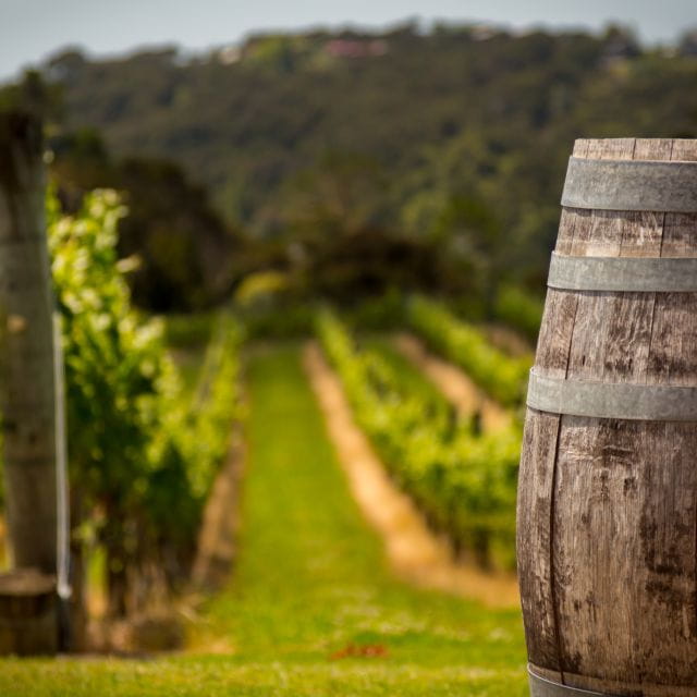 From Thessaloniki: Private Day Trip to Sithonia Chalkidiki - Final Thoughts: Is It Worth It?